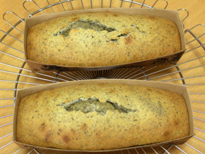 黒ごまパウンド