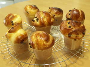 チョコブリオッシュ