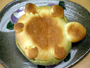 ひっくり返ったカメさん