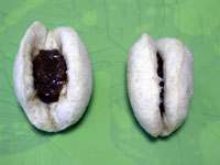 失敗カレーパン1