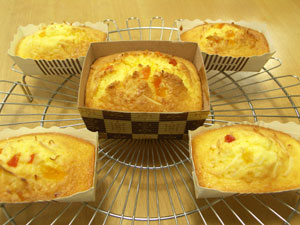 トロピカルパウンド