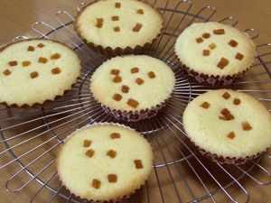 ハチミツレモンマドレーヌ