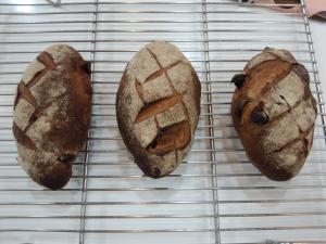 セーグル･オ･フィグ